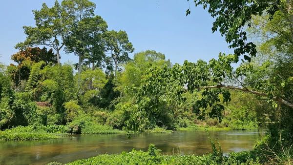 ขายที่ดิน - ขายที่ดินสวยระดับนางฟ้า ติดริมแม่น้ำเพชรบุรี