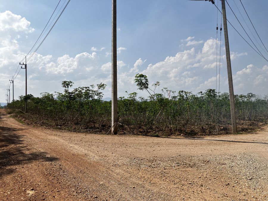 ขายที่ดิน - ขายที่ดินแปลงมุม 12 ไร่ ติดถนน 2 ด้าน ทำเลศักยภาพ ต.หนองหล่ม อ.ห้างฉัตร จ.ลำปาง ราคาพิเศษ