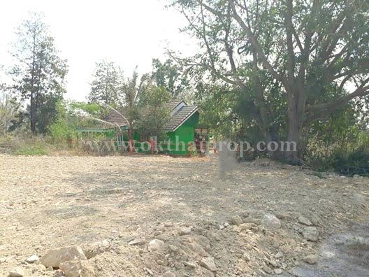 ขายที่ดิน - ที่ดินถมแล้ว พุหวายฮิลล์รีสอร์ท ต.ห้วยทรายเหนือ อ.ชะอำ จ.เพชรบุรี