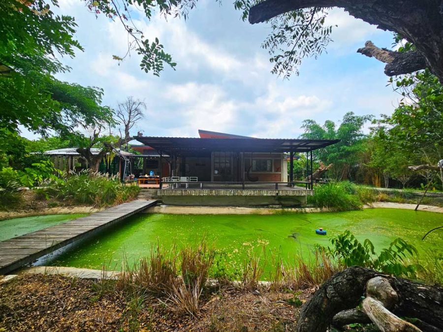 ขายบ้าน - บ้านพักตากอากาศสวย พร้อมอยู่บนที่ดินพัฒนาแล้ว 5 ไร่กว่า หนองเหียง พนัสนิคม ชลบุรี