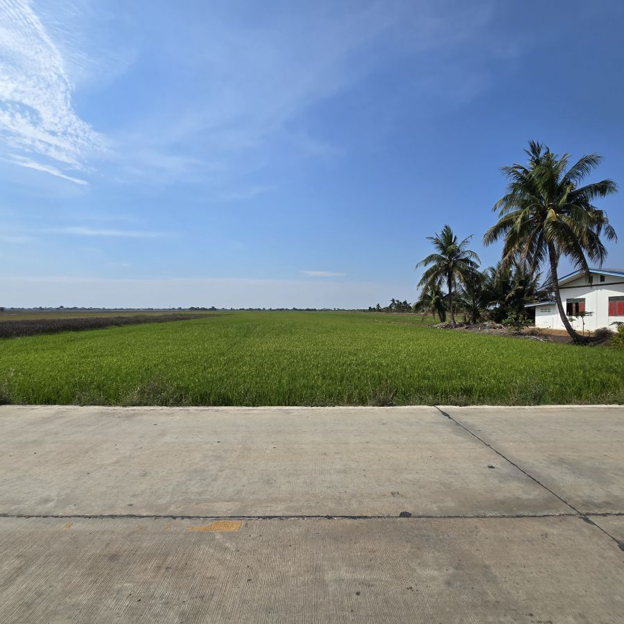 ขายที่ดิน - ขายที่ดินฉะเชิงเทรา เจ้าของขายเอง ที่ดินเปล่าติดถนน ในทำเลชานเมืองใกล้กรุงเทพฯ