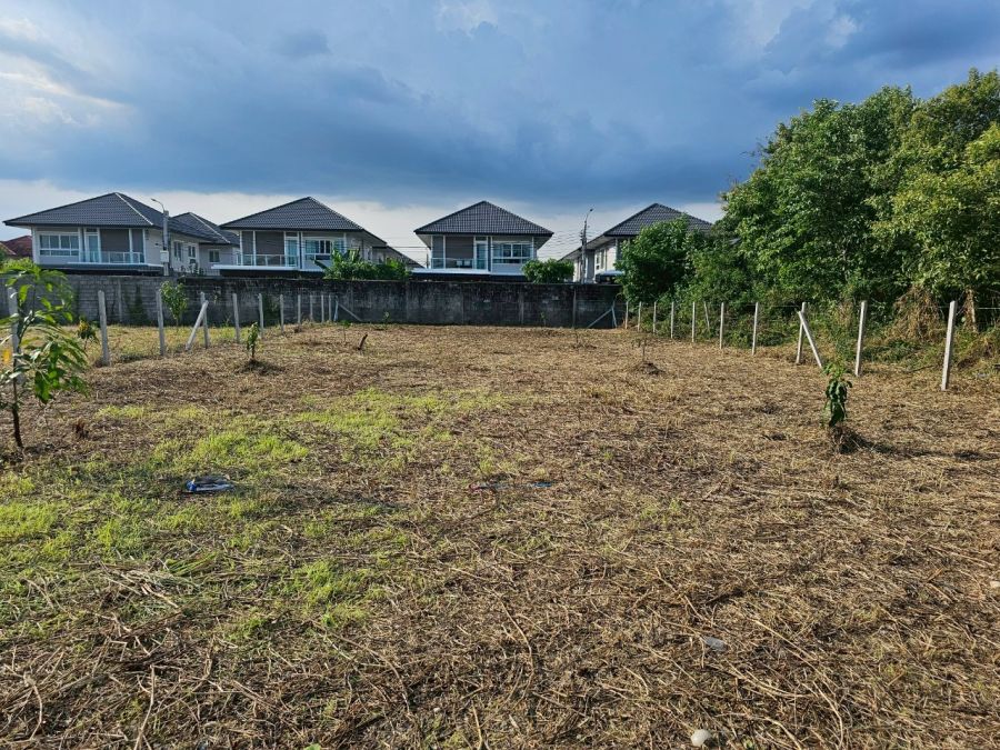 ให้เช่าที่ดิน - ที่ดินเปล่าให้เช่า ถมแล้ว มีรั้วล้อม ติดถนน เดินทางสะดวก เงียบ สงบ บางบัวทอง นนทบุรี