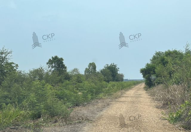 ขายที่ดิน - ที่ดินเปล่าขนาดใหญ่ ใกล้ม.เกษตรศาสตร์ วิทยาเขตกำแพงแสน ใกล้ตัวอำเภอกำแพงแสน