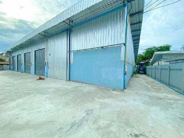 ให้เช่าโรงงาน / โกดัง - ถูกกว่า 90 บาทต่อตรม. รร.ทานตะวันไตรภาษา 2.6 กม. บางน้ำจืด แคราย ให้เช่าโกดังใหม่ สมุทรสาคร 300 ตร.ม. ทำเลดี พระราม 2 น้ำ บางบอน5