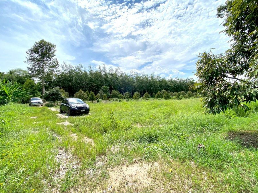 ขายที่ดิน - ขายที่ดินบางบุตรถมแล้ว ติดคลอง 1 ไร่ ใกล้แยกบางบุตร6กม. บ้านค่าย ระยอง