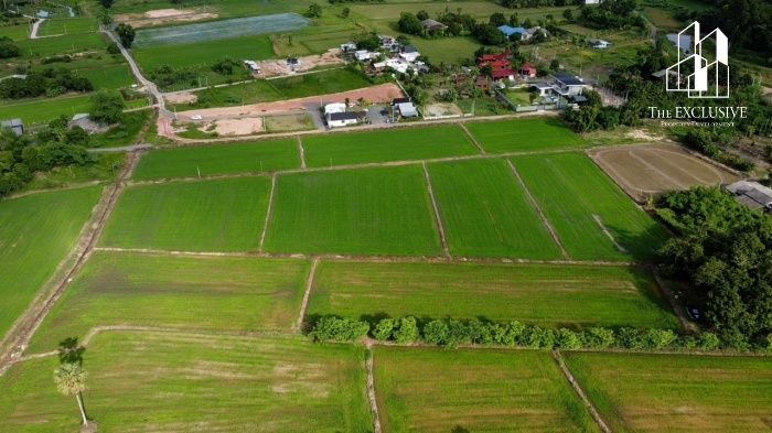 ขายที่ดิน - ขายที่ดิน 6ไร่ เขาพระ นครนายก พื้นที่วิวภูเขา ติดถนนใหญ่ โอโซนดีแถมต้นไม้ใหญ่อายุยืน