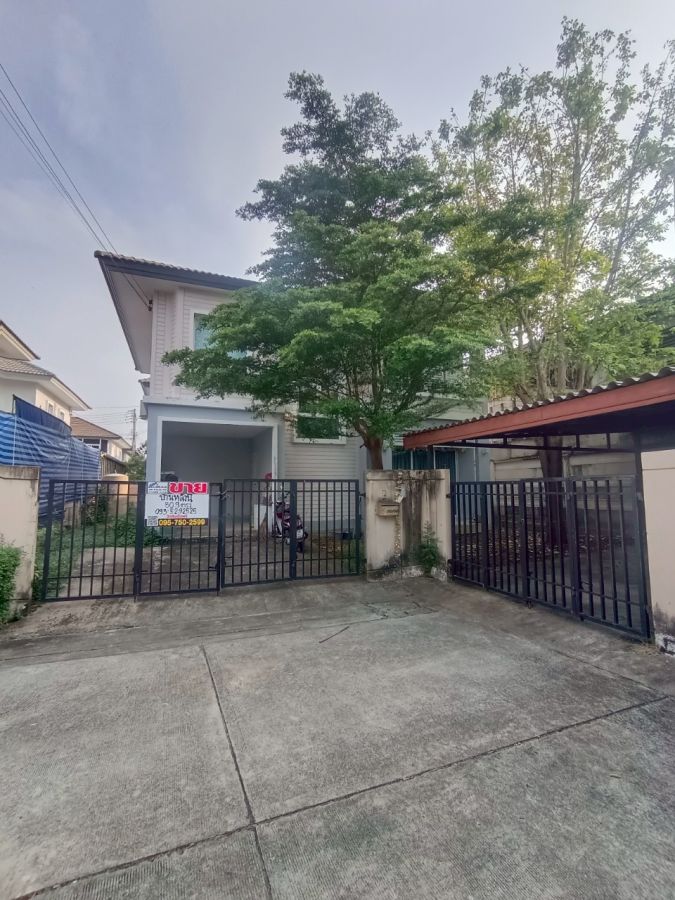 ขายบ้าน - ขายด่วน หมู่บ้านพฤกษา 24 ซีนเนอร์รี่ รังสิต-คลอง 2