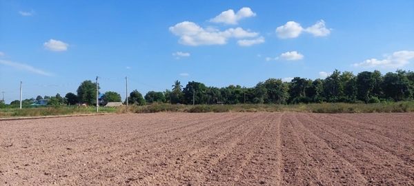 ขายที่ดิน - ขายที่ดิน 2-2 ไร่ ต.หนองตากยา อ.ท่าม่วง จ.กาญจนบุรี