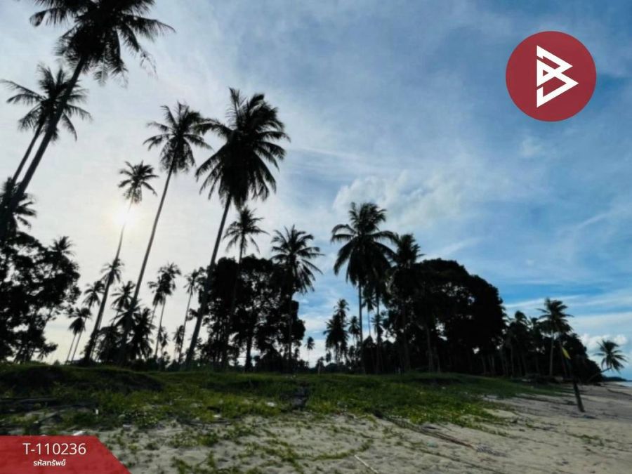 ขายที่ดิน - ขายที่ดินติดทะเล ( แบ่งขาย 6 แปลง ) ต.สระแก้ว อ.ท่าศาลา นครศรีฯ