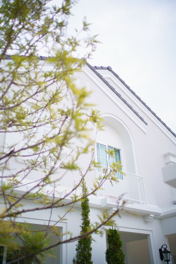 บ้าน - ขายพร้อมผู้เช่า หมู่บ้าน ชัยพฤกษ์ บางนา กม.15 (L&H) บ้านทิศใต้ ห้องนั่งเล่นทิศเหนือ เย็นสบายร่มมาก