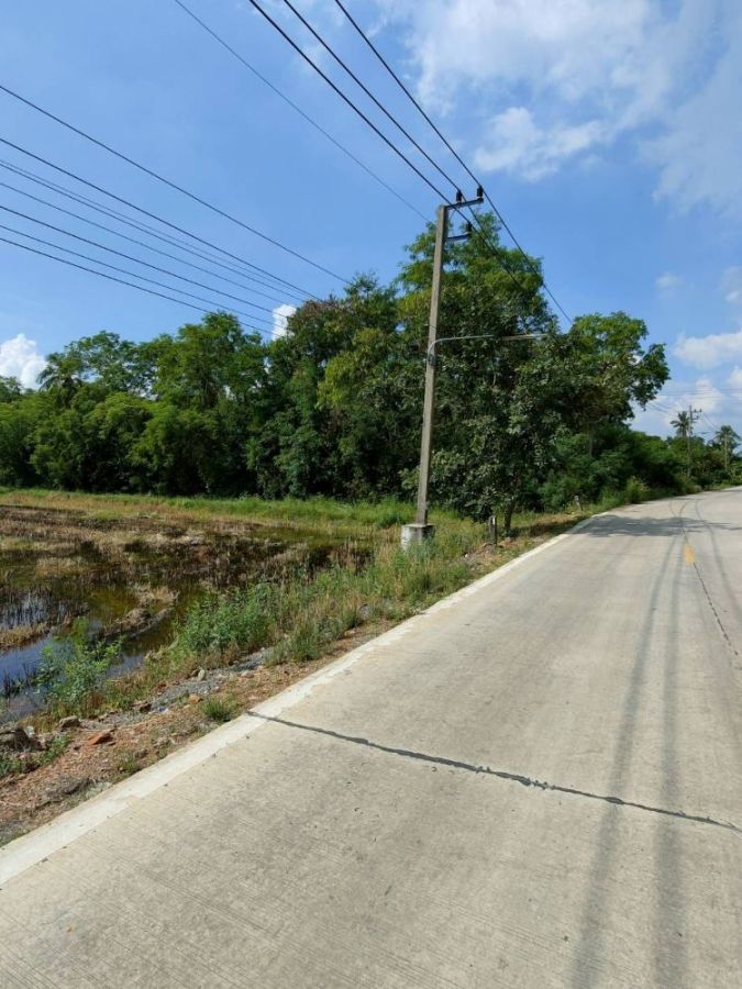 ขายที่ดิน - ขายที่ดินถมแล้ว 2-1-79 ไร่ ถ.เรียบคลองบางโพธิ์ใต้ ทำเลดีติดถนนกาญจนาภิเษก บางหลวง ปทุมธานี