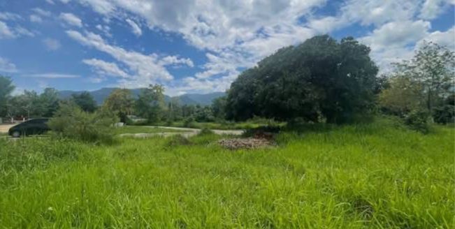 ขายที่ดิน - ขายที่ดินห่างแม็คโคแม่ริมเพียง 2 กม โฉนดพร้อมโอน