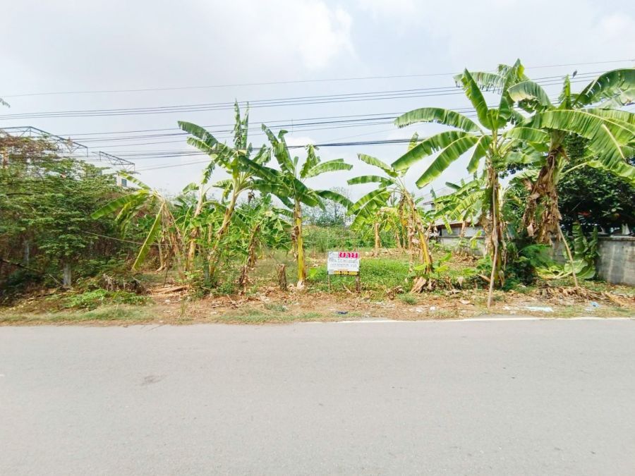 ขายที่ดิน - ขายที่ดิน 120 ตรว.ถมแล้ว ซอยคลองสาม 6/5 (ซอยทรัพย์สำราญ) คลองหลวง ปทุมธานี