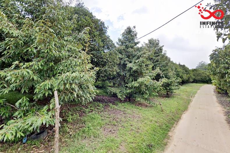 ขายที่ดิน - ขายที่ดินสวนเกษตร 130 ไร่ อำเภอละอุ่น ระนอง