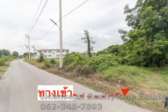ขายที่ดิน - ขายที่ดิน ติดถนนลาดยาง ใกล้วัดไชยสงคราม ต.บ้านแห อ.เมือง จ.อ่างทอง
