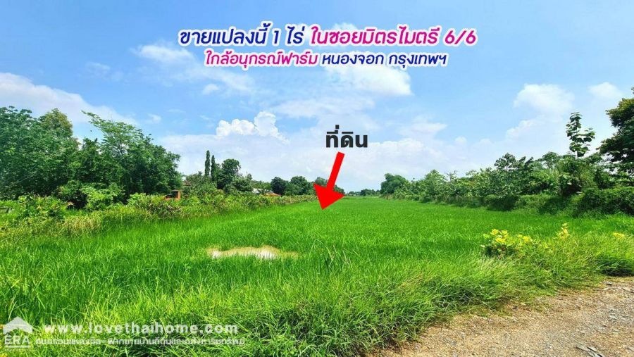 ขายที่ดิน - ขายที่ดิน 1 ไร่ ในซอยมิตรไมตรี 6/6 ใกล้อนุกรณ์ฟาร์ม หนองจอก กรุงเทพฯ