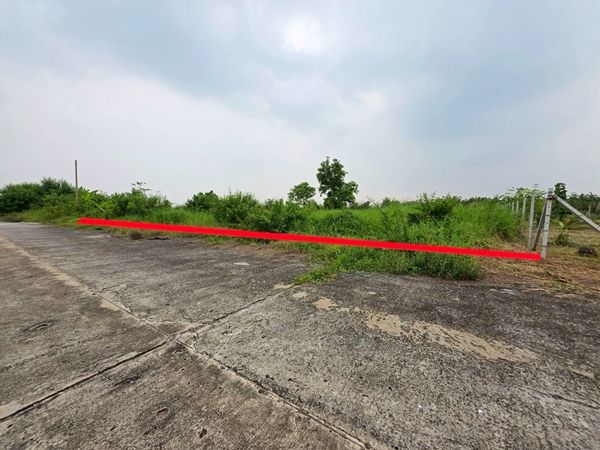 ขายที่ดิน - ขายที่ดิน ต่ำกว่าราคาประเมิน 1 ไร่ คลองเก้า ปทุมธานี เพียง 3,500,000.-