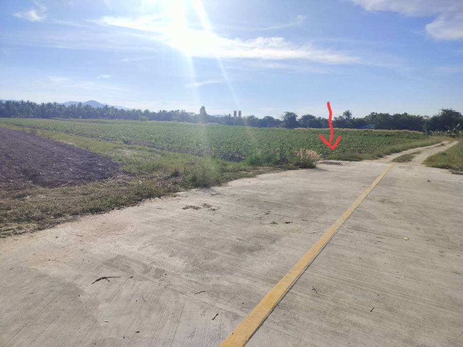 ขายที่ดิน - ขายที่ดิน 8 ไร่ อ.ศรีราชา ห่างจากเส้นพัทยา-มอเตอร์เวย์ 300 ม. วิวธรรมชาติ