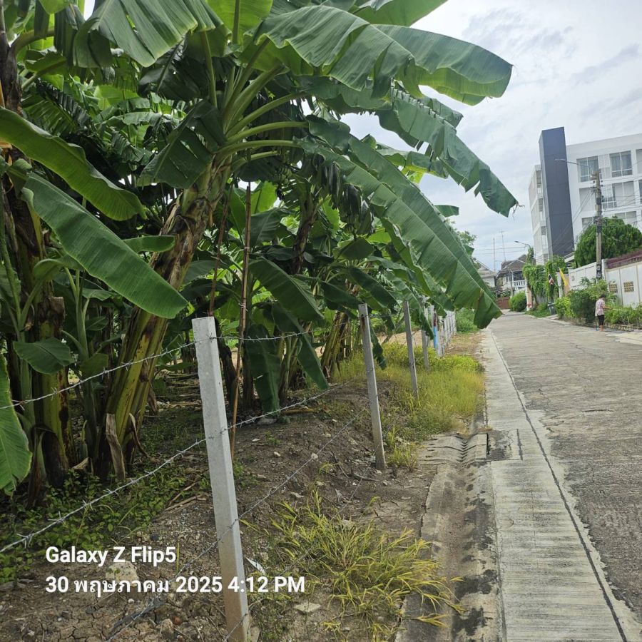 ขายที่ดิน - ขายที่ดินทำเลชินเขต 1 เหมาะสร้างบ้านเดี่ยว ออฟฟิศ ทาวน์โฮม หอพัก หรือเก็งกำไรในอนาคต พื้นที่ 200 ตรว ซอยงามวงศ์วาน 43 แยก 2-7