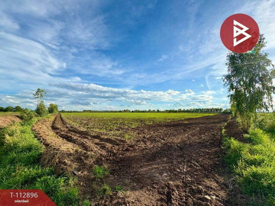 ขายที่ดิน - ขายที่ดิน 80 ไร่ 96.0 ตร.วา อ.ท่าตะโก นครสวรรค์