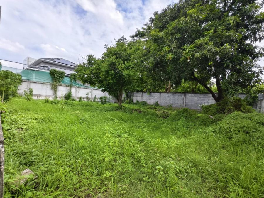 ให้เช่าที่ดิน - ให้เช่าที่ดิน ซอยฉิมพลี 28 เนื้อที่ 100 ตร.ว. ห่างจากถนนบรมราชชนี 100 เมตร