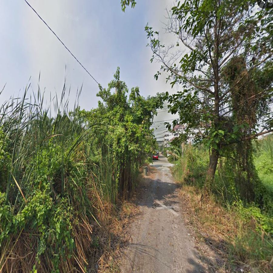 ขายที่ดิน - ขายที่ดินเปล่า 87 ตารางวา บางรักพัฒนา อ.บางบัวทอง เหมาะสร้างบ้าน ใกล้ MRT สายสีม่วง