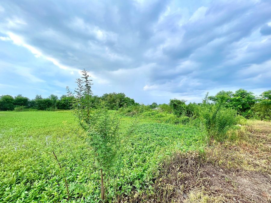 ขายที่ดิน - ขายที่นาใกล้ตลาด 3 งาน 26.7 ตารางวา ต.ท่าทราย อ.เมือง จ.นครนายก ติดคลอง ติดถนน