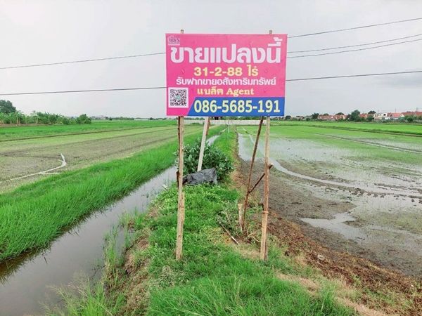 ขายที่ดิน - ขายที่ดิน 31 ไร่ ติดถนนคลอง 8 ลำลูกกา ปทุมธานี ใกล้วัดดอนใหญ่
