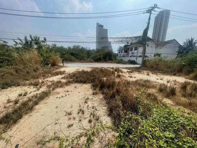 ขายที่ดิน - ขายที่ดินใกล้หาดจอมเทียนเข้าออกได้ 2 ทาง ตำบลหนองปรือ อำเภอบางละมุง จังหวัดชลบุรี