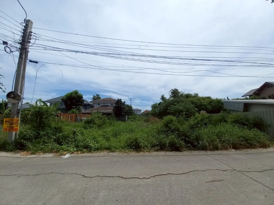ขายที่ดิน - ขายที่ดินเปล่า ซอยบุรุษพัฒน์3 (ซอยรามอินทรา65 แยก2-4)