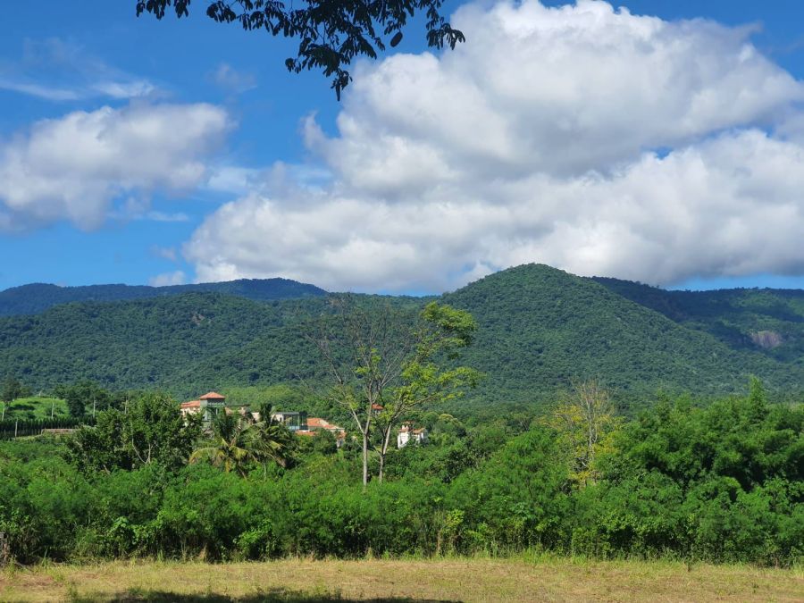 ขายที่ดิน - ขายที่ดินเขาใหญ่ ซอยพระตำหนักพิมานวิวเขาสวยสะดุดตา