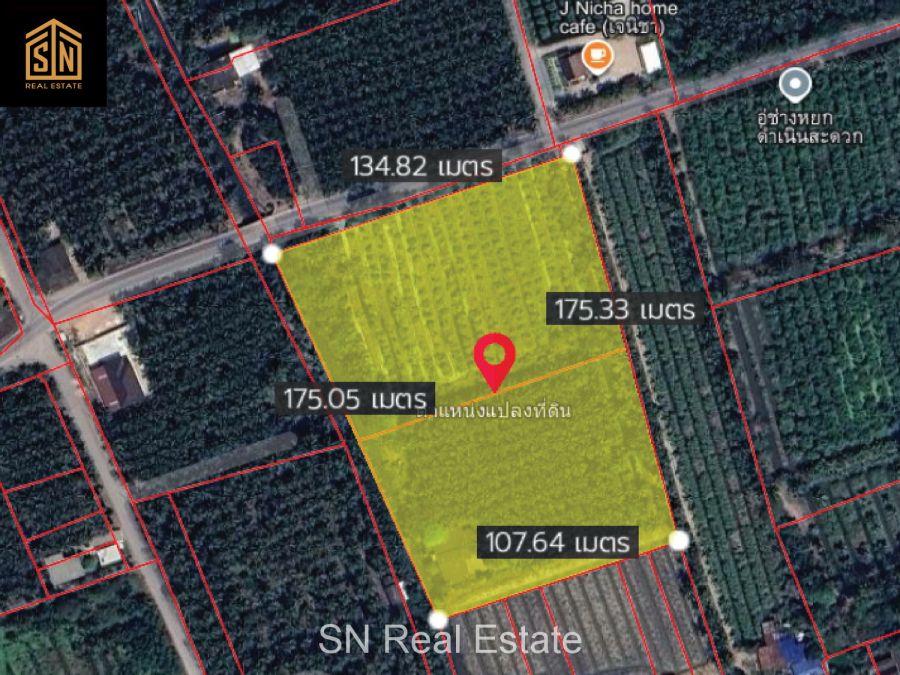 ขายที่ดิน - ขายที่ดินดำเนินสะดวก ราชบุรี แปลงสวย ออกคลองดำเนินสะดวกได้