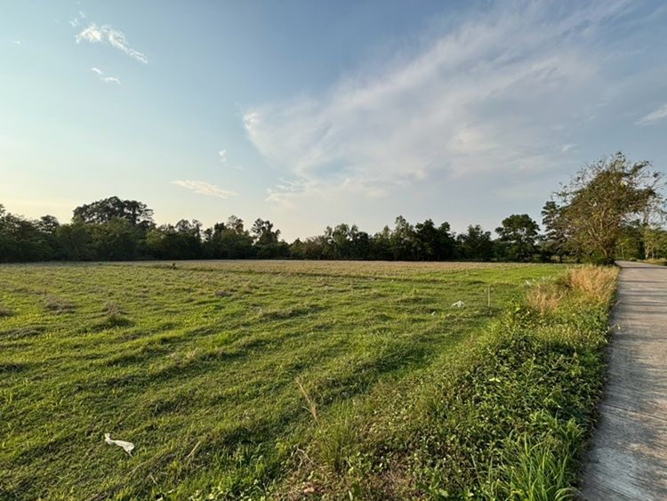 ขายที่ดิน - ขายที่ดินเนื้อที่ 13 ไร่ 63 ตารางวา ราคาไร่ละ 1,200,000 บาท อำเภอบ้านนา จังหวัดนครนายก