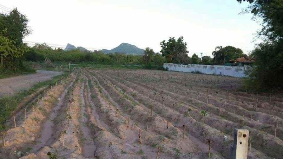 ขายที่ดิน - ด่วน ขายที่ดิน สัตหีบ-ชลบุรี จำนวน 1ไร่7ตาราวา เจ้าของขายเองไม่ผ่านนายหน้า