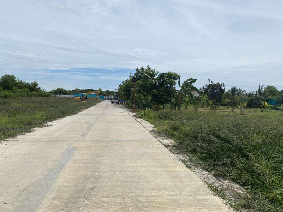 ให้เช่าที่ดิน - ให้เช่าถูกมาก!! ที่ดินขนาด 2 ไร่ ติดถนน ทำเลทอง อ.บางใหญ่ จ.นนทบุรี ใกล้รถไฟฟ้า เซ็นทรัลเวสต์เกต ม.มหิดลฯ