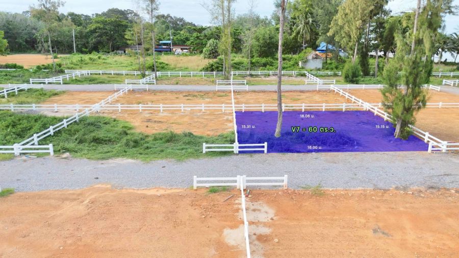 ขายที่ดิน - ขายที่ดินติดทะเล ราคา 490,000 บาท จ.สุราษฎร์ธานี