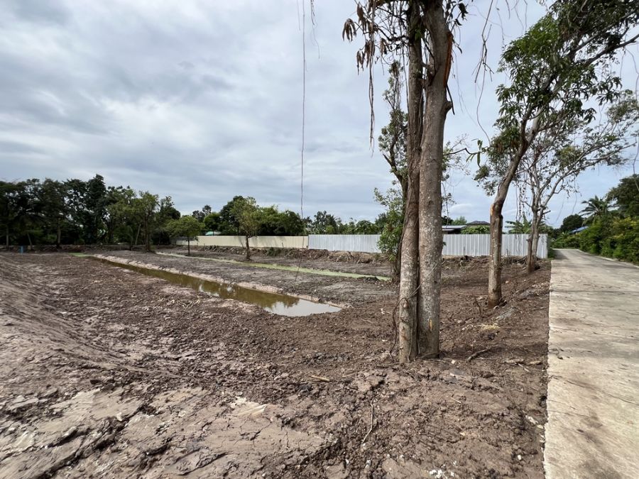 ขายที่ดิน - ขายที่สวนเมืองนนท์ บางรักน้อย 16 ห่าง ถ.ราชพฤกษ์ 500 เมตร ใกล้ MRT