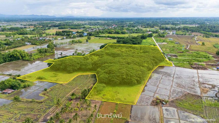 ขายที่ดิน - ขาย ที่ดิน 46-2-60.3 ไร่ ต.แม่ฮ้อยเงิน อ.ดอยสะเก็ด จ.เชียงใหม่