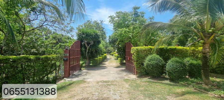 ขายที่ดิน - ที่ดินสวยปากช่อง 20 ไร่ พร้อมบ้านพัก ราคา 66 ล้านบาท