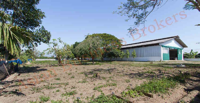 ให้เช่าโรงงาน / โกดัง - ให้เช่าโรงงานพื้นที่เกือบ 4 ไร่ ในโซนอุตสาหกรรม ที่เชียงใหม่