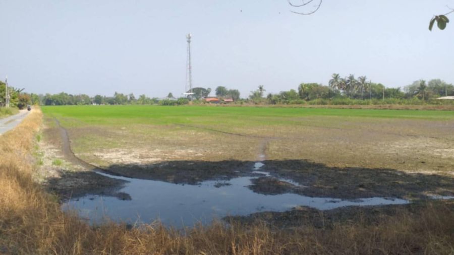 ขายที่ดิน - ขายที่ดินเปล่า 20-1-23 ไร่ ถ.สุวินทวงศ์-หนองจอก ซ.อยู่วิทยา 12 แขวงกระทุ่มราย เขตหนองจอก กรุงเทพๆ