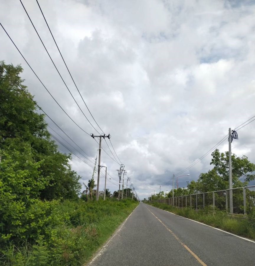 ขายที่ดิน - ขายที่สีม่วง 33 ไร่ ต.คลองนิยมยาตรา อ.บางบ่อ จ.สมุทรปราการ