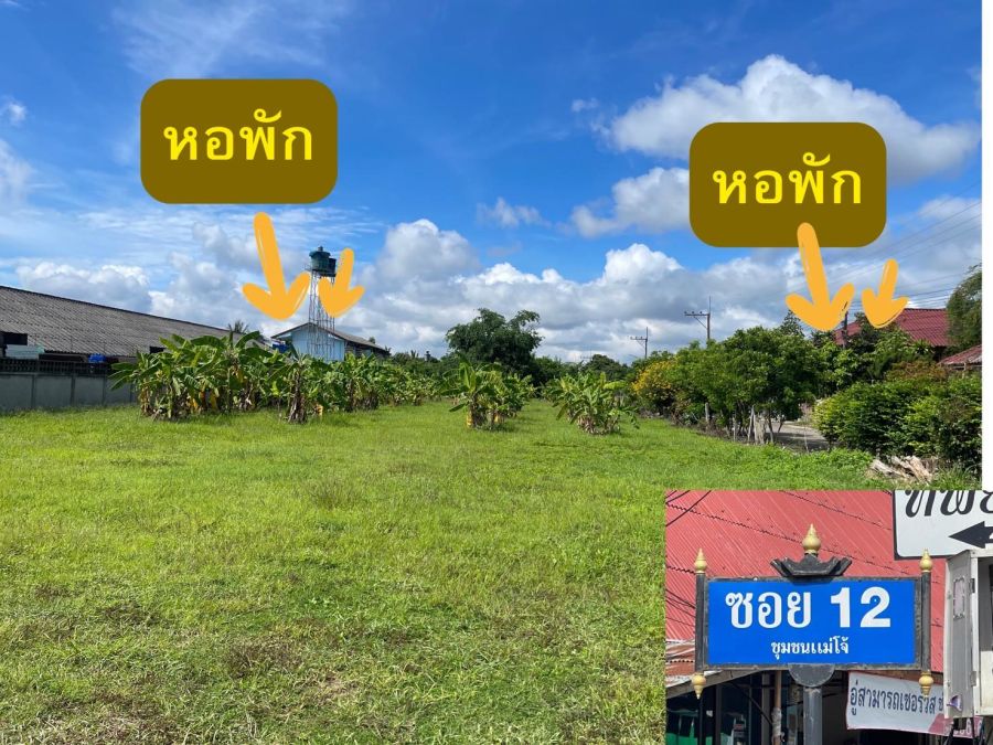 ขายที่ดิน - ขายที่ดิน 2 ไร่ 3 ตรว. ย่านชุมชนแม่โจ้ อ.สันทราย จ.เชียงใหม่ ทำเลดีมากสะดวกสบาย