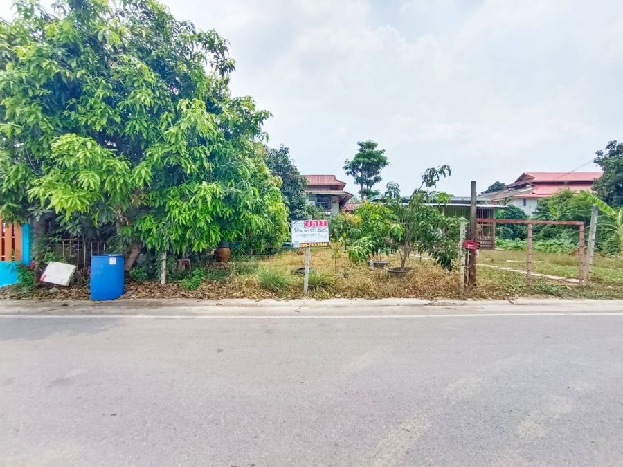 ขายที่ดิน - ขายถูกที่ดิน 60 ตรว.ซอยคลองสาม 6/5 คลองหลวง ปทุมธานี