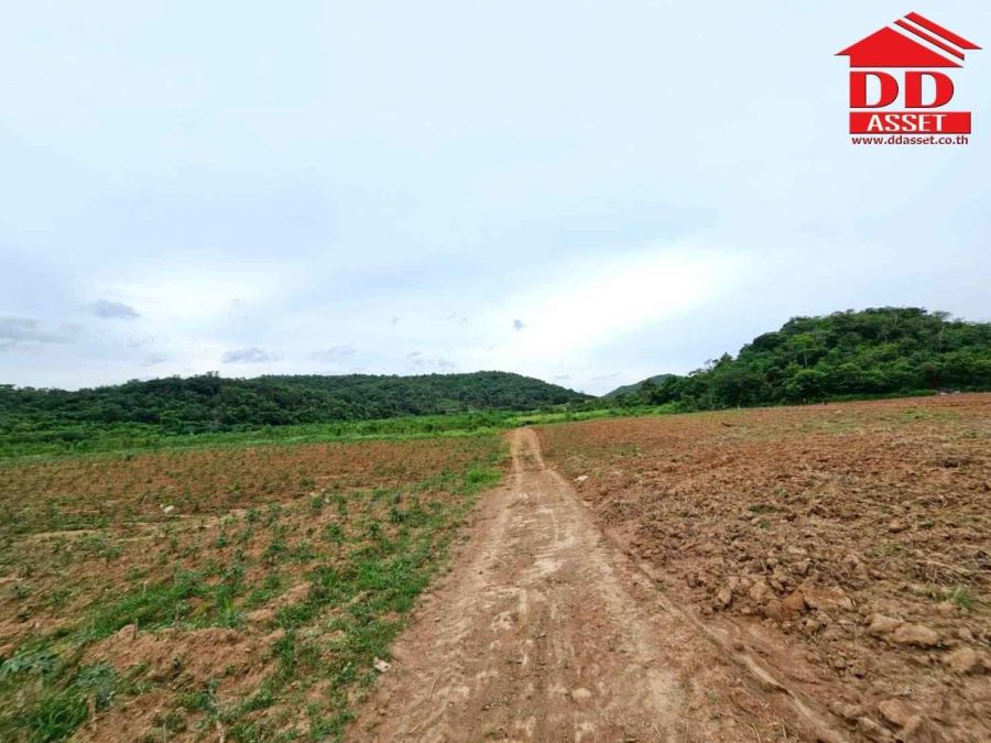 ขายที่ดิน - ขายที่ดินเปล่าเขาใหญ่ ตำบล หมูสี อำเภอปากช่อง นครราชสีมา ใกล้ถนนธนรัชต์-เขาใหญ่เพียง 500 เมตร