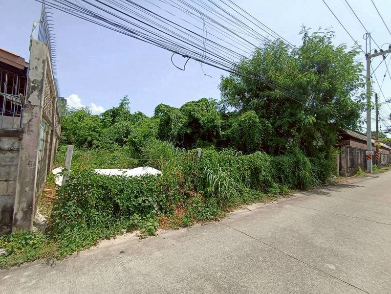 ขายที่ดิน - ขายที่ดินเปล่า 102ตรว. บ่อก๊อก17 ต่ำกว่าราคาประเมิน น้ำ/ไฟ/ถนนสาธารณะเข้าถึงแปลงที่ดิน