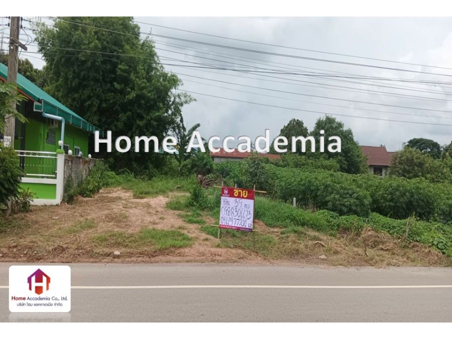 ขายที่ดิน - ขาย ที่ดิน พื้นที่ 39 ตร.วา ต.บางทรายใหญ่ อ.เมือง. มุกดาหาร