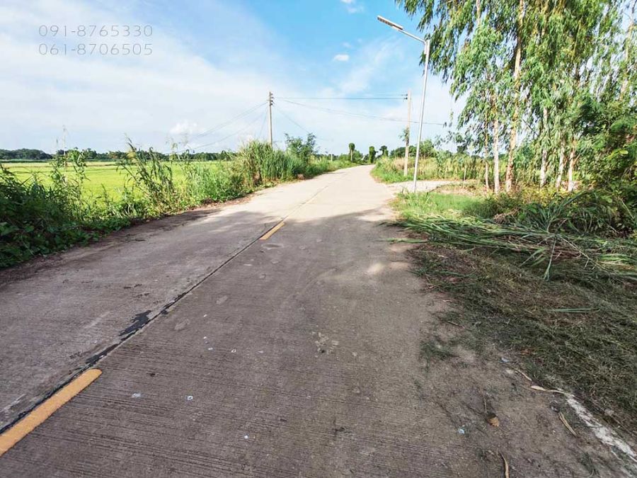 ขายที่ดิน - ขายที่ดิน 4ไร่ อยู่อำเภอเมือง นครสวรรค์ มีน้ำมีไฟ ติดถนนคอนกรีต อยู่ในชุมชน ขายราคาถูก