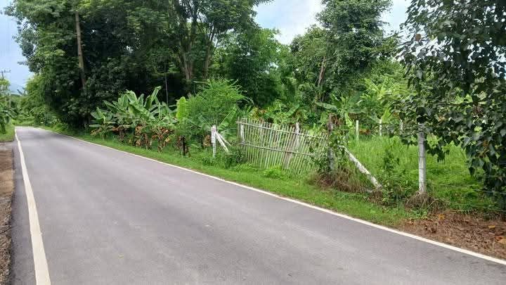 ขายที่ดิน - ขายที่ดินตำบลดอนแก้วแม่ริมหน้ากว้างห่างถนนหลัก 200เมตร