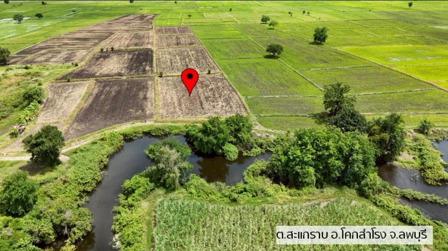 ขายที่ดิน - ขายที่ดิน เนื้อที่ 8 ไร่ ต.สะแกราบ โคกสำโรง ลพบุรี